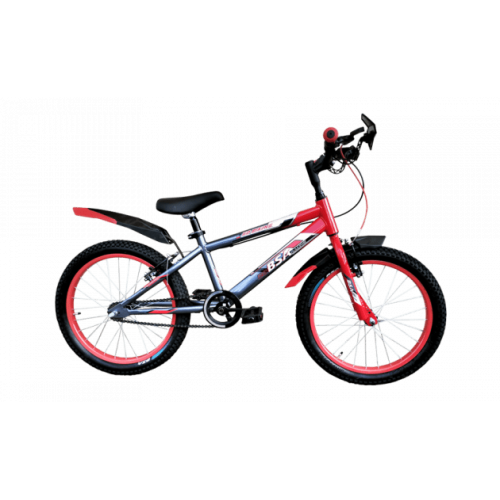 BSA Go biking 20 T New Edition